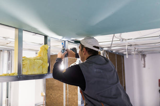 Best Eco-Friendly Insulation in Chalfont, PA